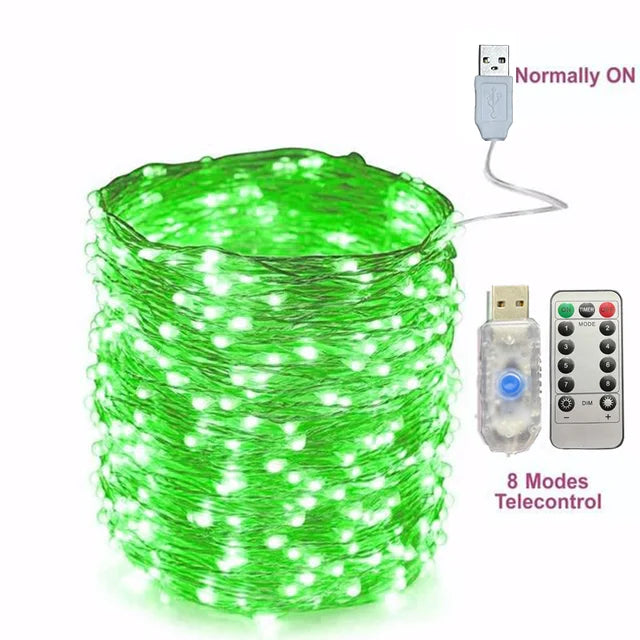 USB Led String Light 5M/10M/20/30M Telecontrol 8Mode Remote Control Lights Fairy garlands Wedding Christmas Holiday Decor lamps