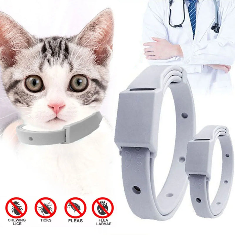 Collar antipulgas y garrapatas para gatos y perros pequeños, antiparasitario, protección de 8 meses, collar ajustable para cachorros y gatitos, accesorios para mascotas