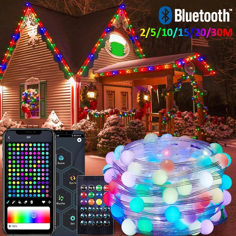 Smart LED Lighting Strings Bluetooth APP Remote Control RGBIC Fairy Lights Waterproof USB Dream Color Light DIY Christmas Tree