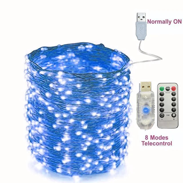 USB Led String Light 5M/10M/20/30M Telecontrol 8Mode Remote Control Lights Fairy garlands Wedding Christmas Holiday Decor lamps