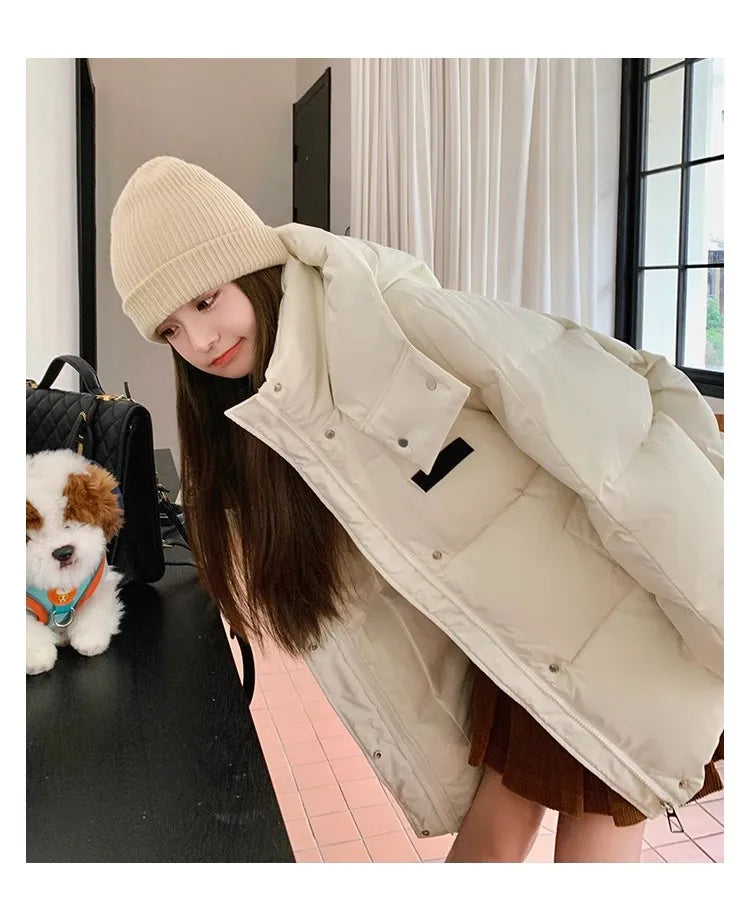 Solid Color Down Jacket Women Hooded Coat Stand Collar Fashion American Streetwear Duck Down Feather Female Winter Short Outwear