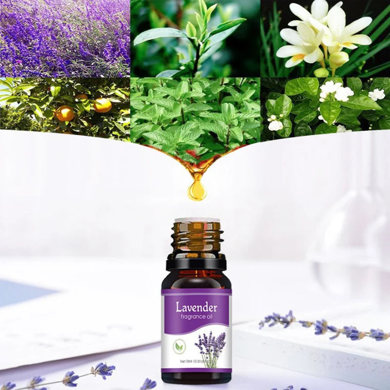 Aceites esenciales de aromaterapia Difusor de aceites solubles en agua Aromaterapia - Rosa, lavanda, limón, menta, limoncillo, sándalo,