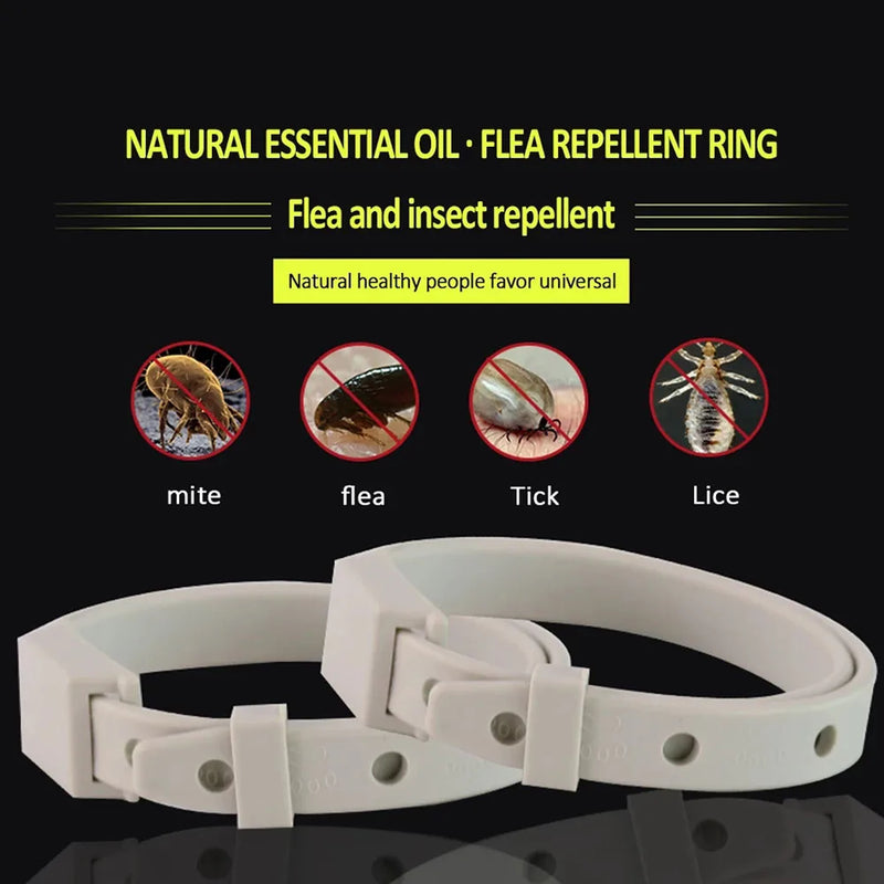 Collar antipulgas y garrapatas para gatos y perros pequeños, antiparasitario, protección de 8 meses, collar ajustable para cachorros y gatitos, accesorios para mascotas